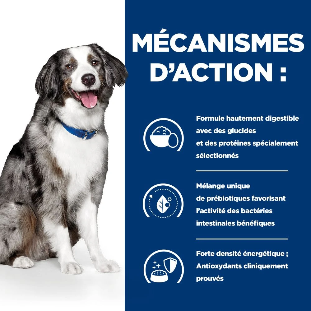 Hill's Prescription Diet I/D AB+ Sensitive Croquettes Pour Chien – Image 5