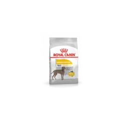 Royal Canin Dermacomfort Maxi Adult Pour Chien 3kg