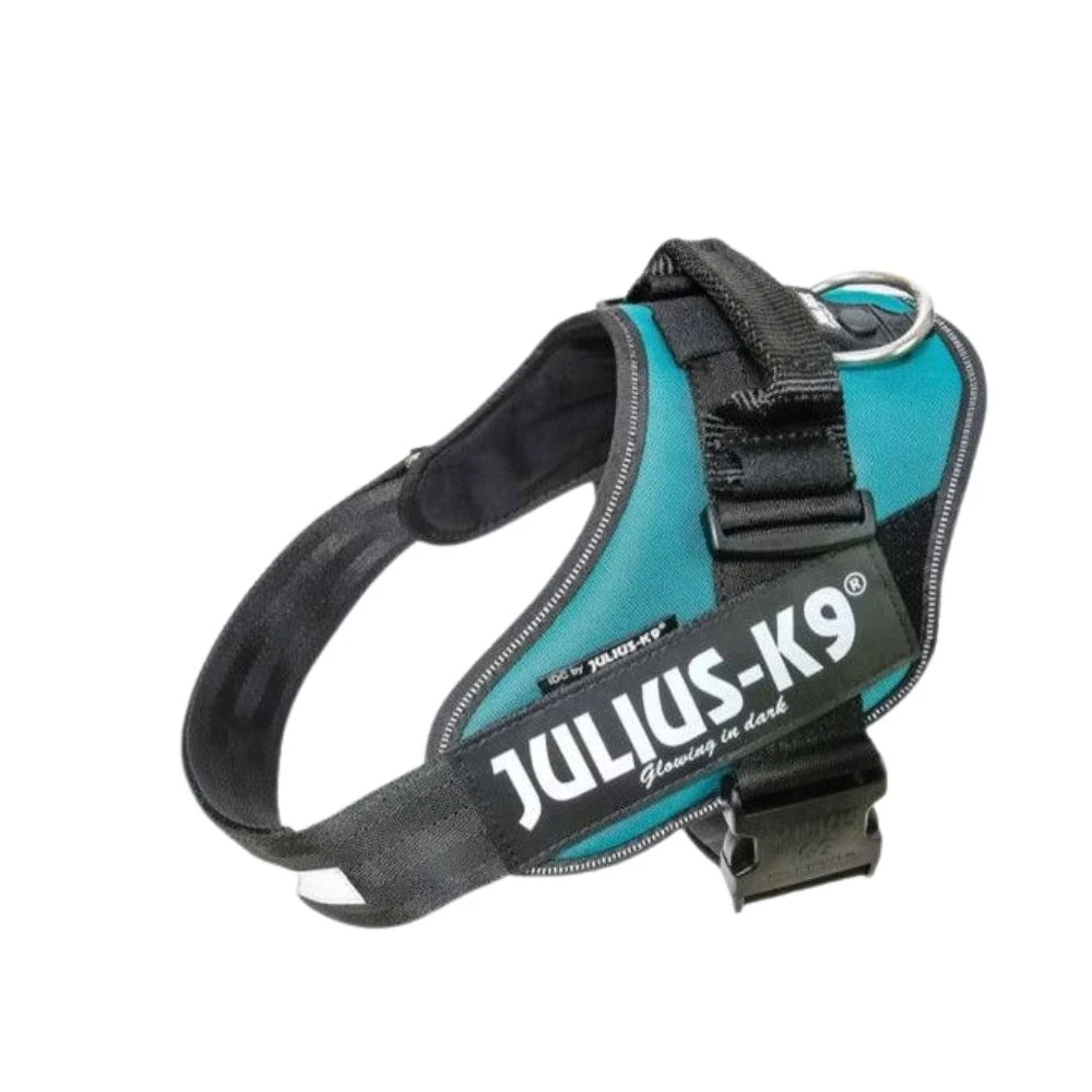 Julius K9 Harnais Julius IDC Power-K9 Bleu Pétrole – Image 2