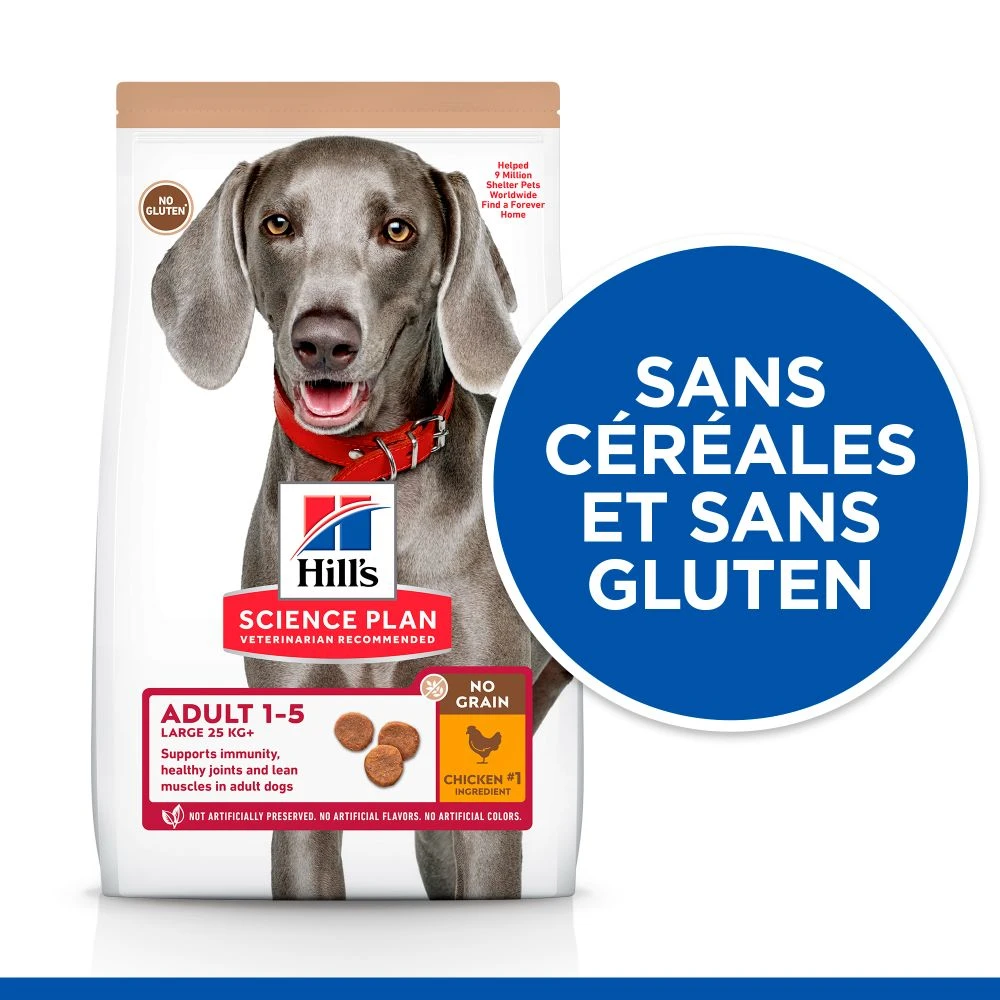 Hill's Science Plan Adult No Grain Large Breed Croquettes Sans Céréales Pour Chien Adulte De Grande Race Au Poulet - 14Kg – Image 3