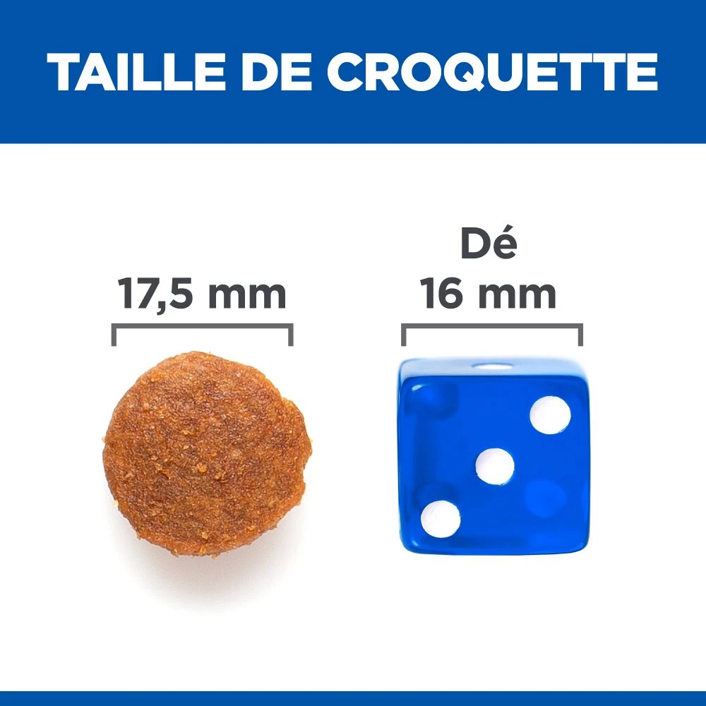 Hill's Science Plan Adult No Grain Large Breed Croquettes Sans Céréales Pour Chien Adulte De Grande Race Au Poulet - 14Kg – Image 5