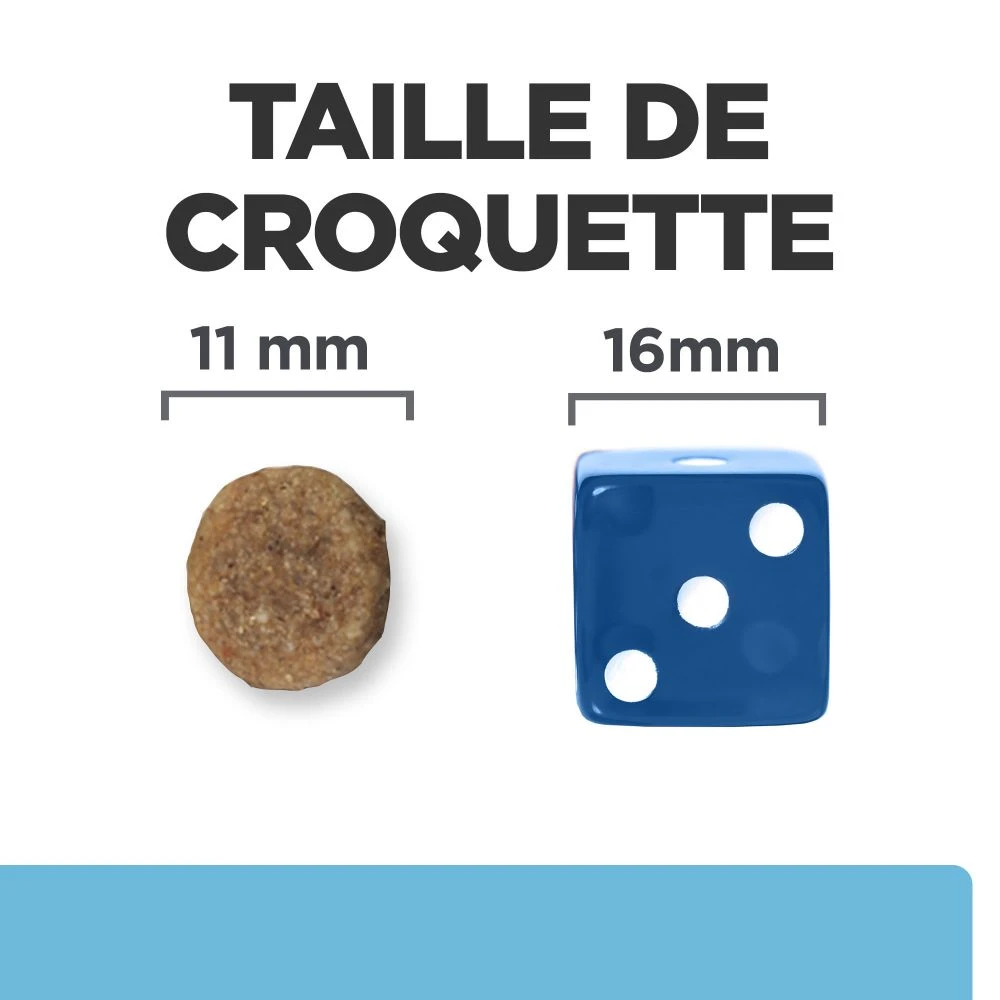 Hill's Prescription Diet K/D Early Stage Croquettes Pour Chien Au Poulet – Image 6