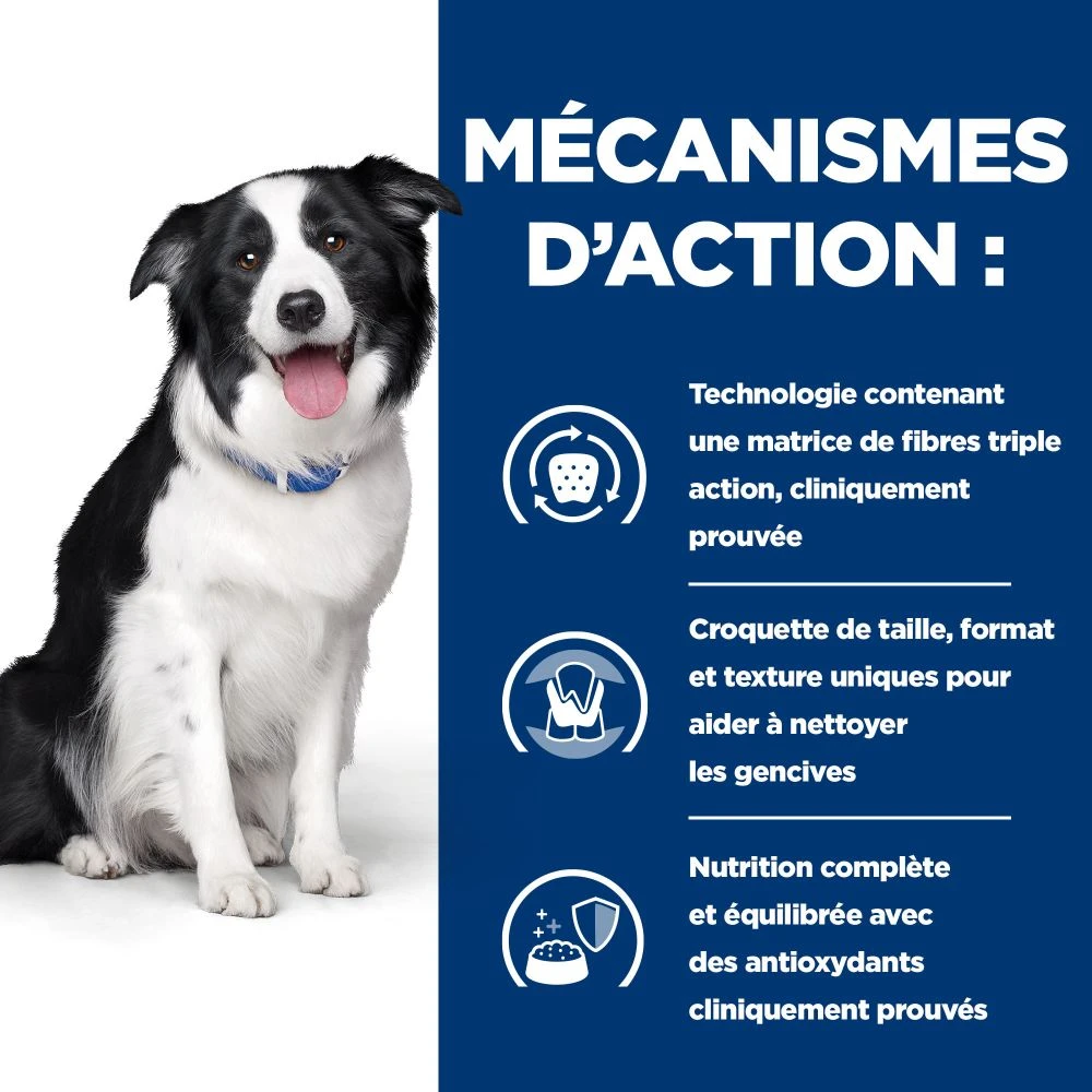 Hill's Prescription Diet T/D Dental Care Croquettes Pour Chien Au Poulet – Image 6