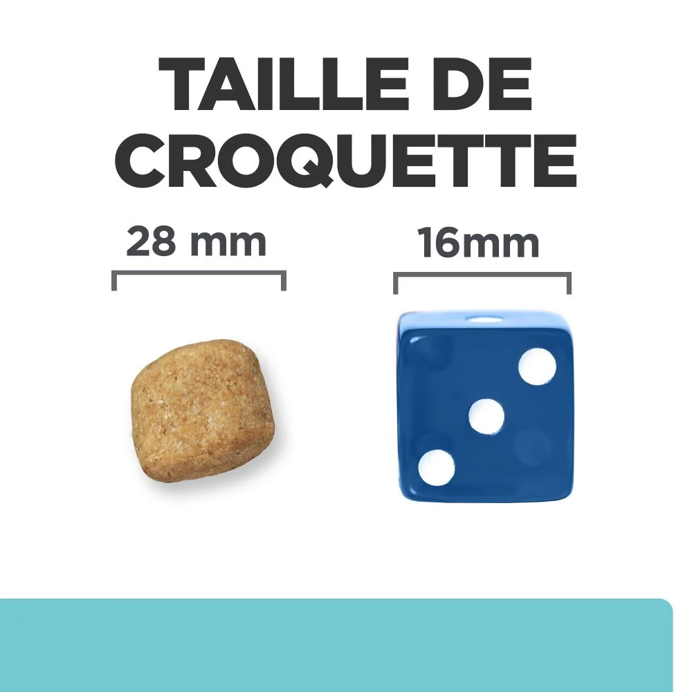 Hill's Prescription Diet T/D Dental Care Croquettes Pour Chien Au Poulet – Image 7
