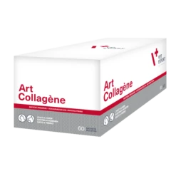 Art-Collagène 60 Sachets