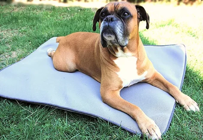 Matelas Anti-escarres Confort4pattes – Image 2