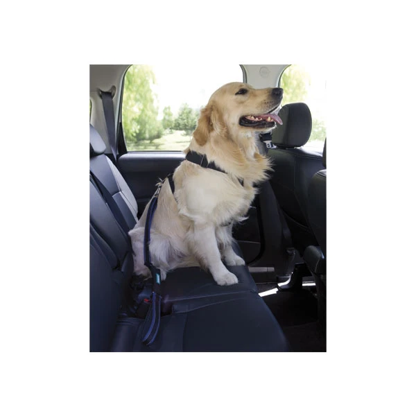 LAISSE SÉCURITÉ AUTO – Image 2