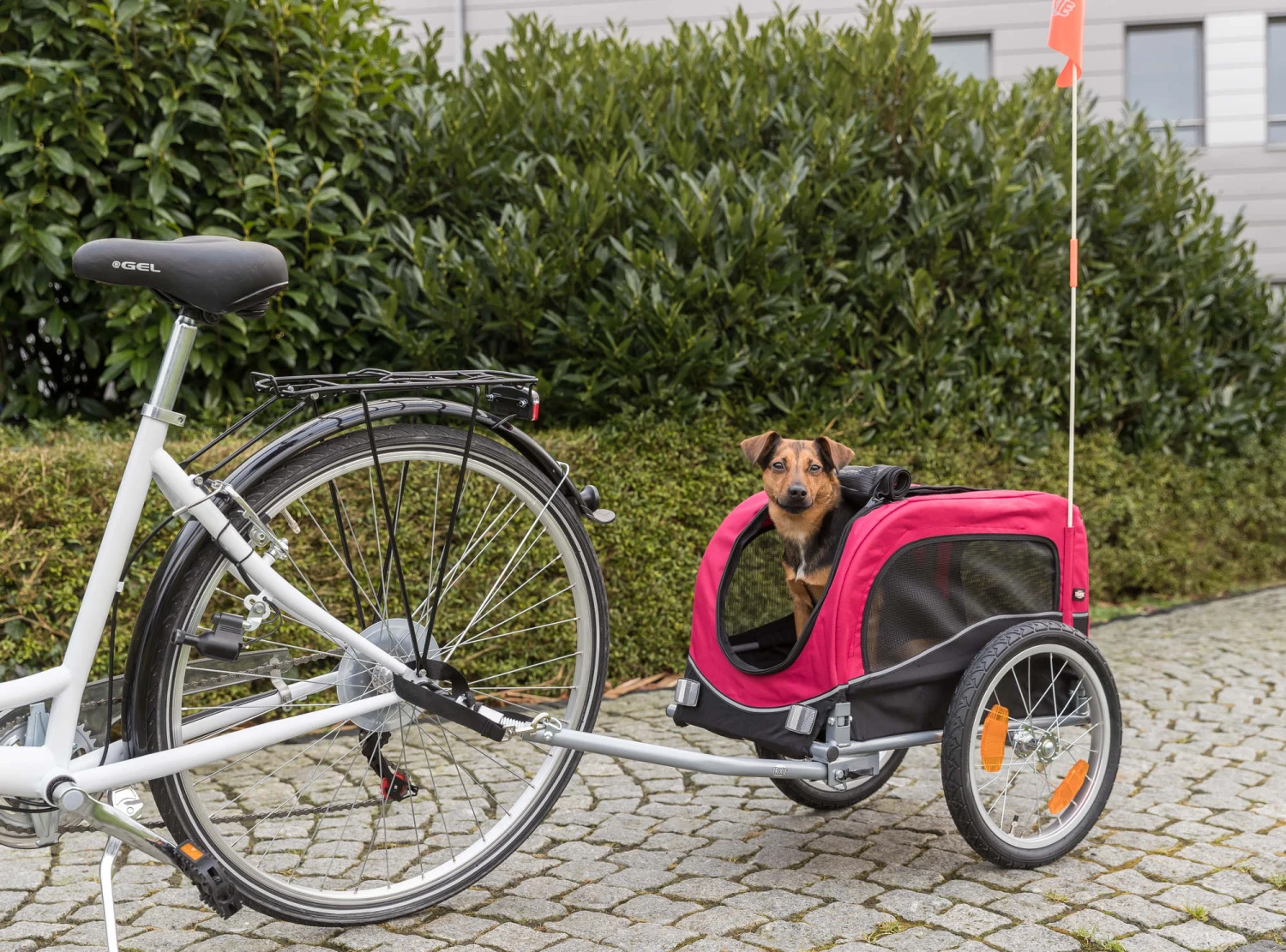 Trixie Remorque De Vélo Pour Chiens S 53 × 60 × 60 – Image 3