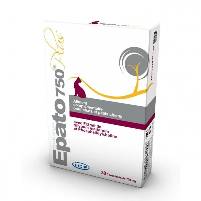 ICF EPATO – Image 2