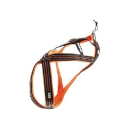 Harnais Canicross Xback