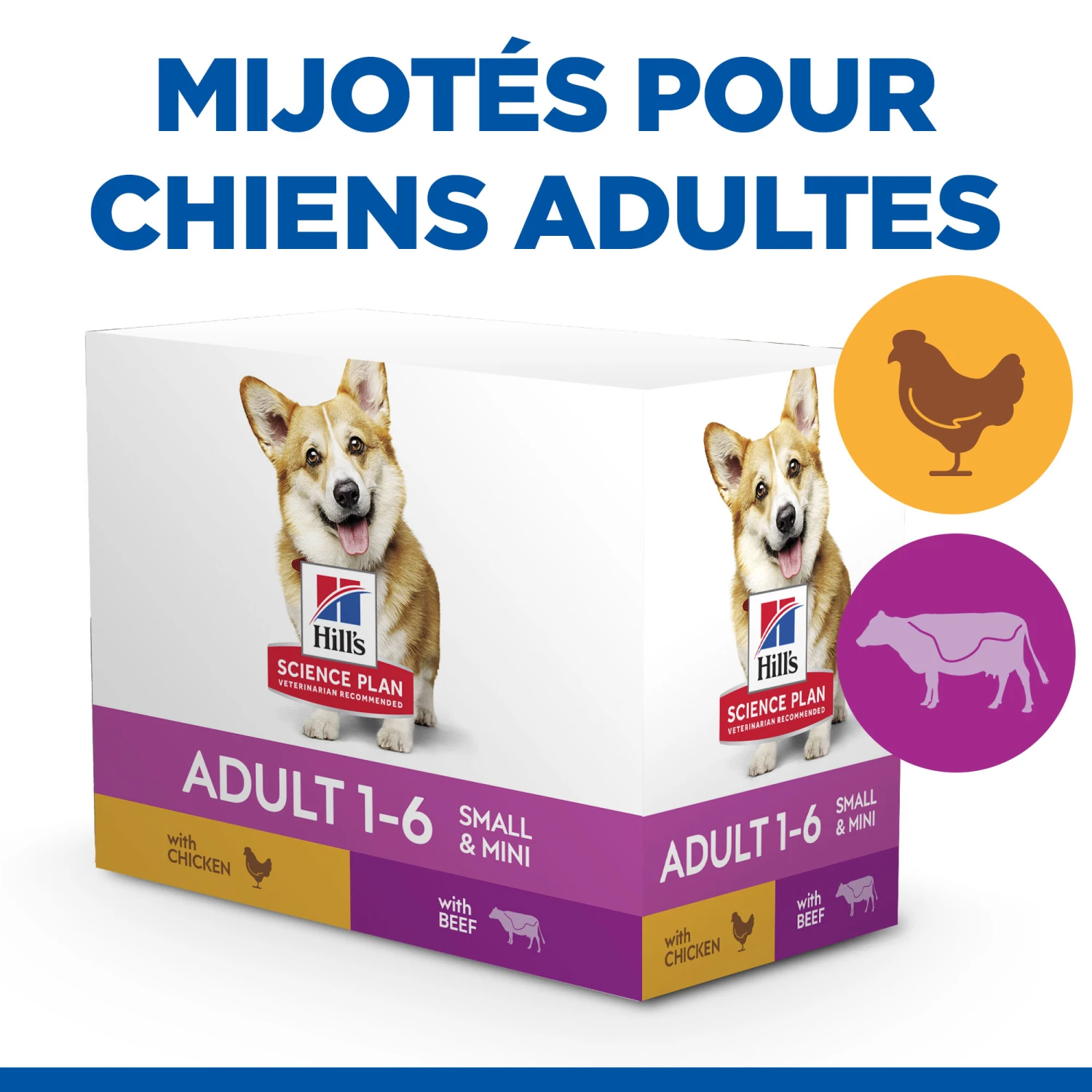 HILL'S SCIENCE PLAN HEALTHY CUISINE MIJOTÉS POUR CHIEN ADULTE SMALL & MINI AU POULET ET AU BŒUF 12X80G – Image 2