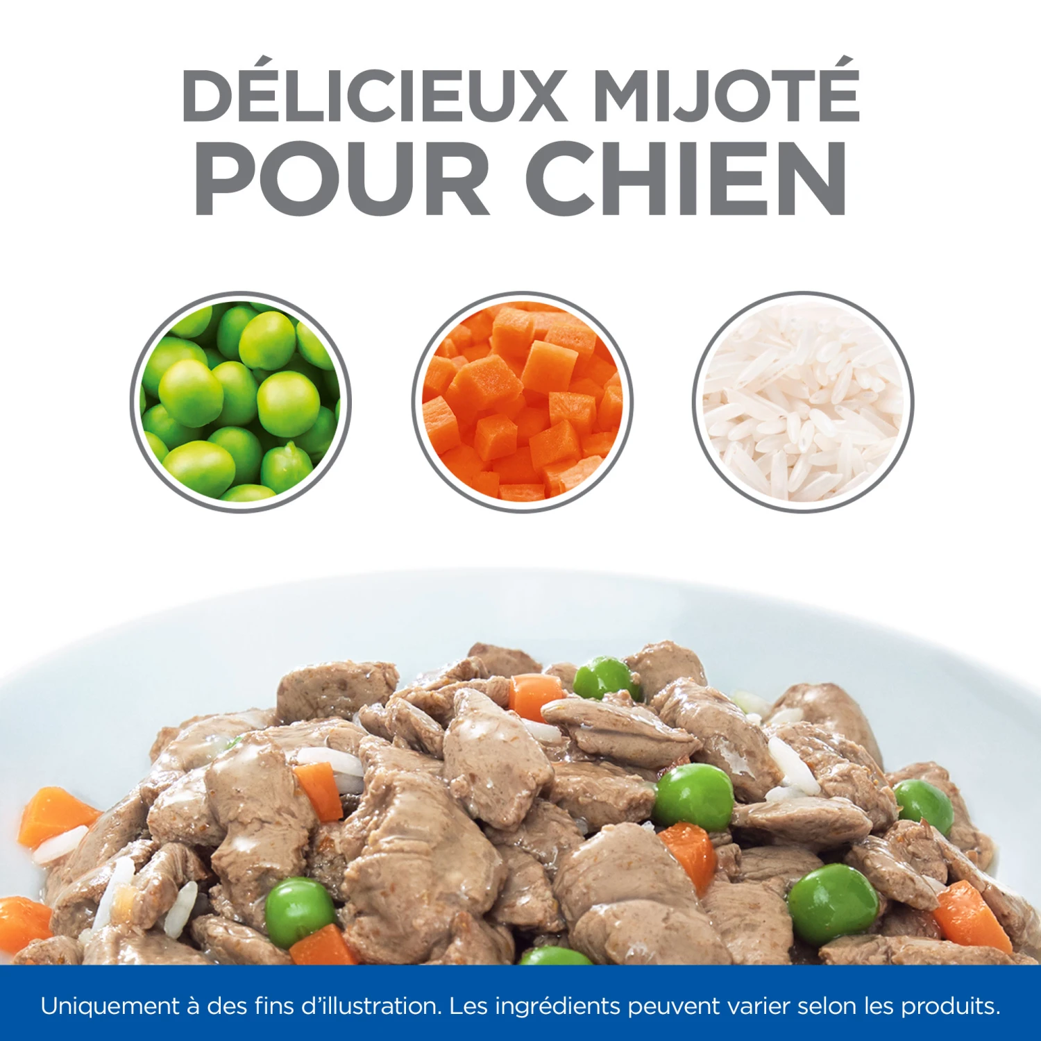 HILL'S SCIENCE PLAN HEALTHY CUISINE MIJOTÉS POUR CHIEN ADULTE SMALL & MINI AU POULET ET AU BŒUF 12X80G – Image 5