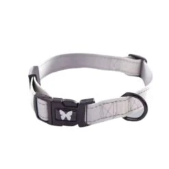 Collier Et Laisse Reflex Gris