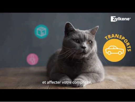 Zylkène 225mg Chien De 10Kg à 30Kg – Image 4