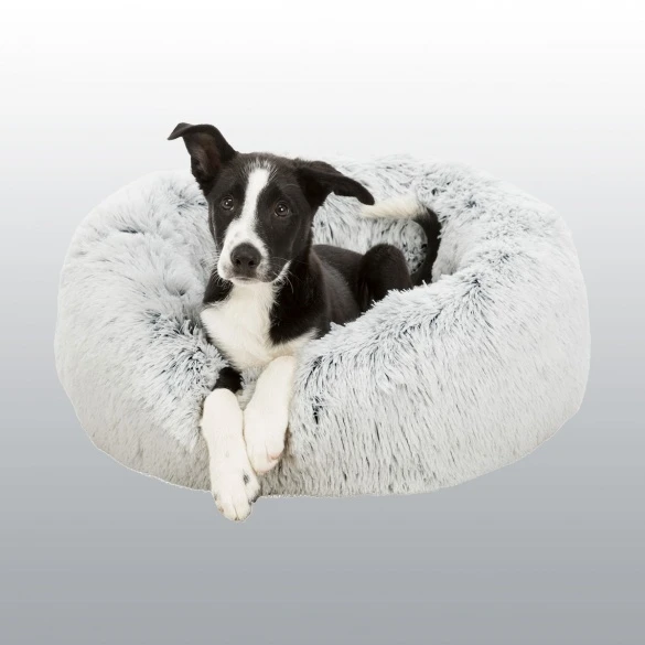 Corbeille Peluche Harley – Image 2