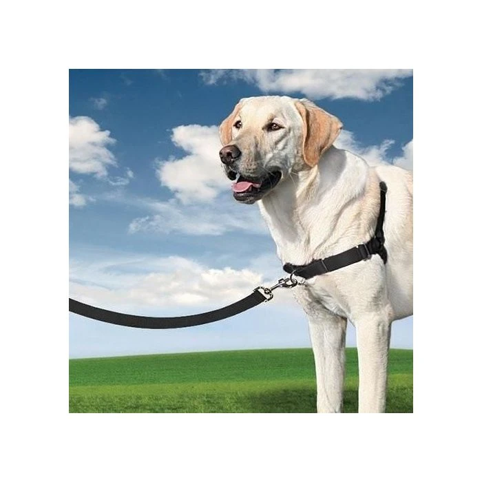 PetSafe Harnais Easy Walk – Image 6