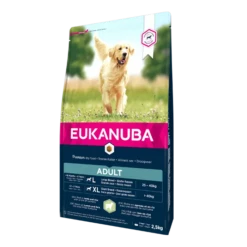Eukanuba Adult Large Breed Pour Chien Agneau & Riz 2,5kg