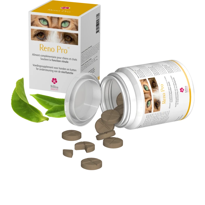 Reno Pro Miloa 30 Comprimés