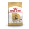 Royal Canin Carlin (Pug) Adult Pour Chien 3kg