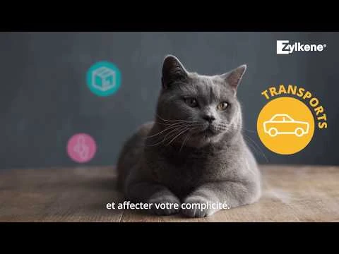 Zylkène Chew 225mg Chien De 10 à 30Kg - 14 Bouchées – Image 2