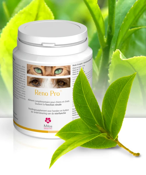 Reno Pro Miloa 30 Comprimés – Image 2