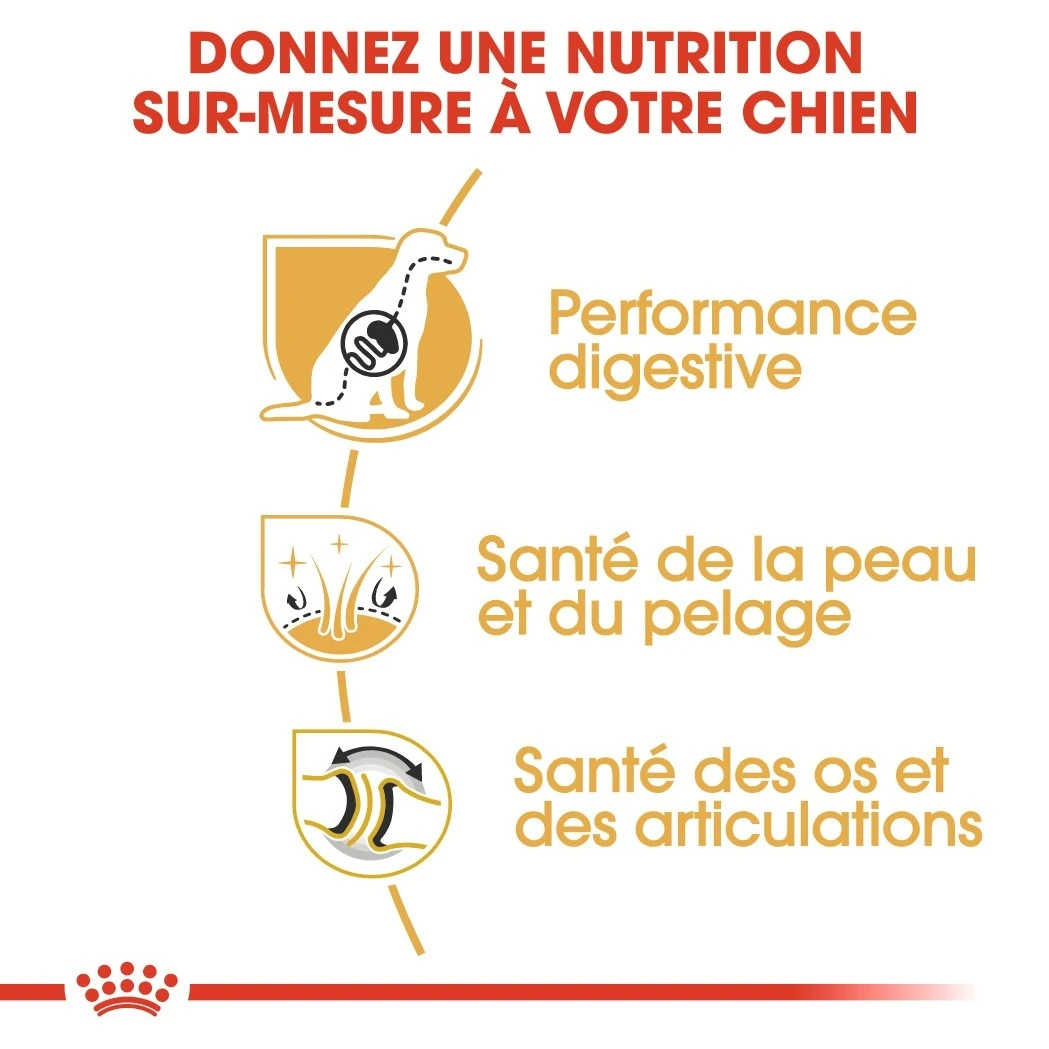 Royal Canin Berger Allemand Adult Pour Chien 11kg – Image 4