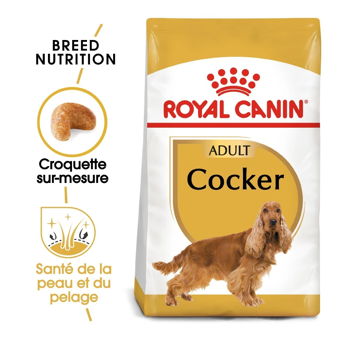 Royal Canin Cocker Adult Pour Chien 12kg – Image 3