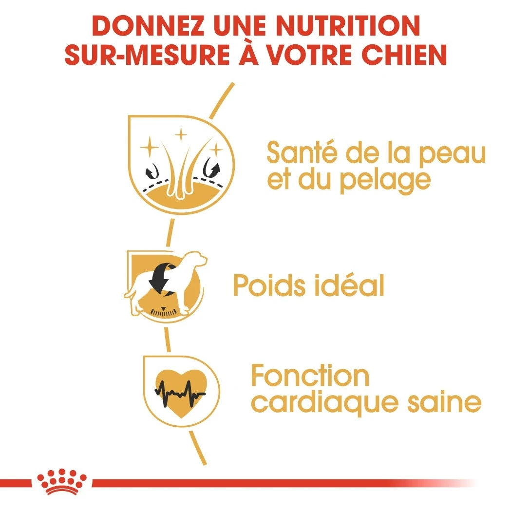 Royal Canin Cocker Adult Pour Chien 12kg – Image 4