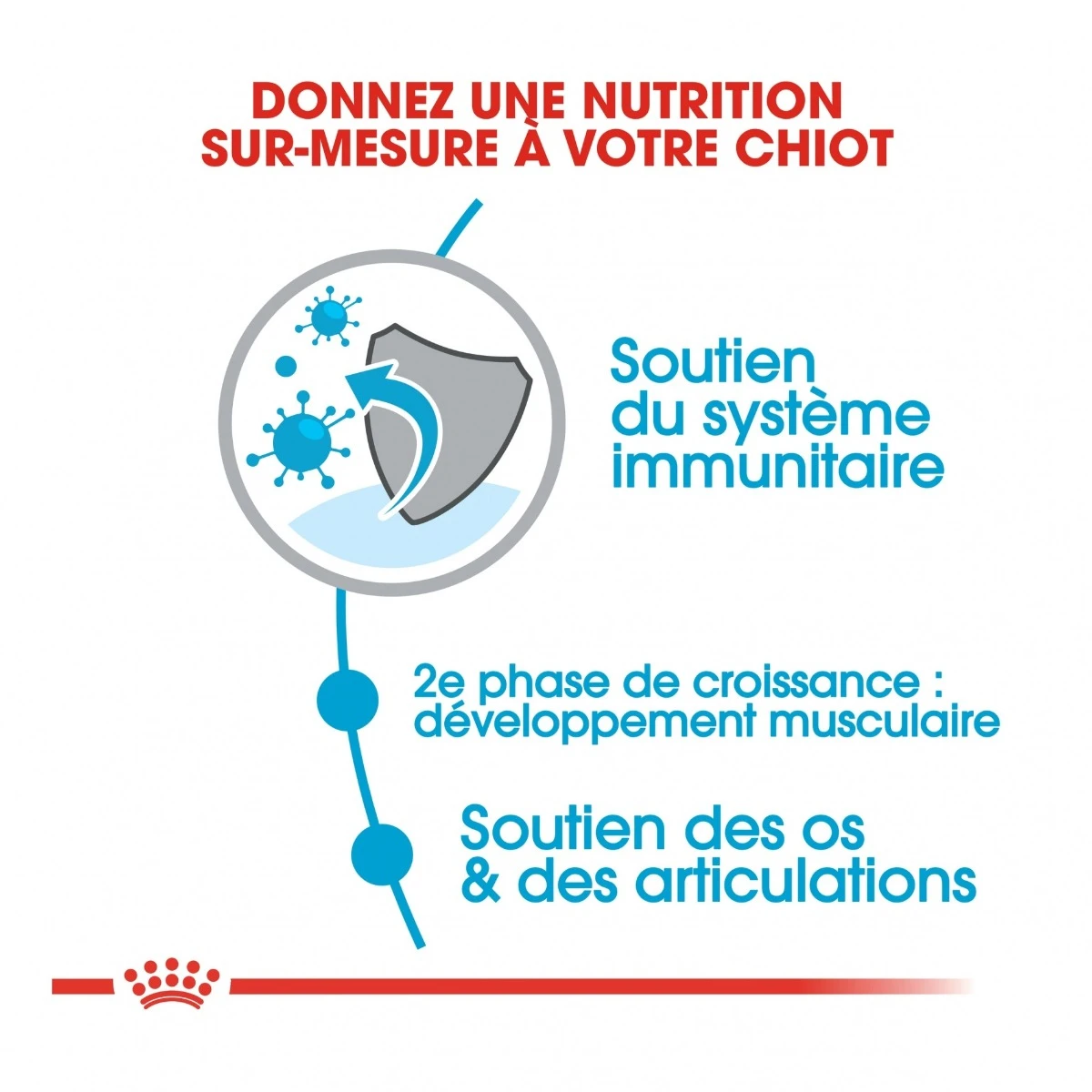 Royal Canin Giant Junior Pour Chien 15kg – Image 4