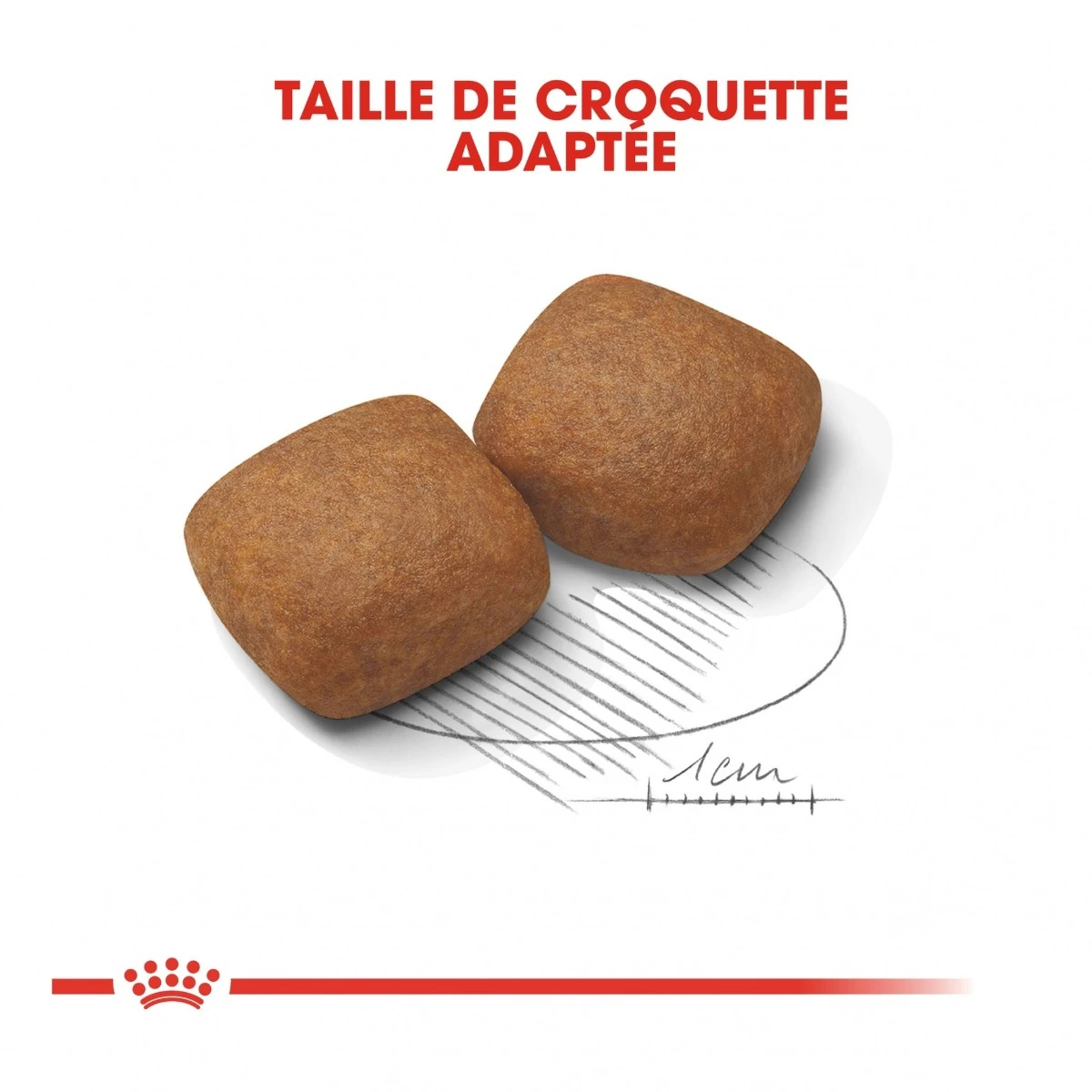 Royal Canin Giant Junior Pour Chien 15kg – Image 5