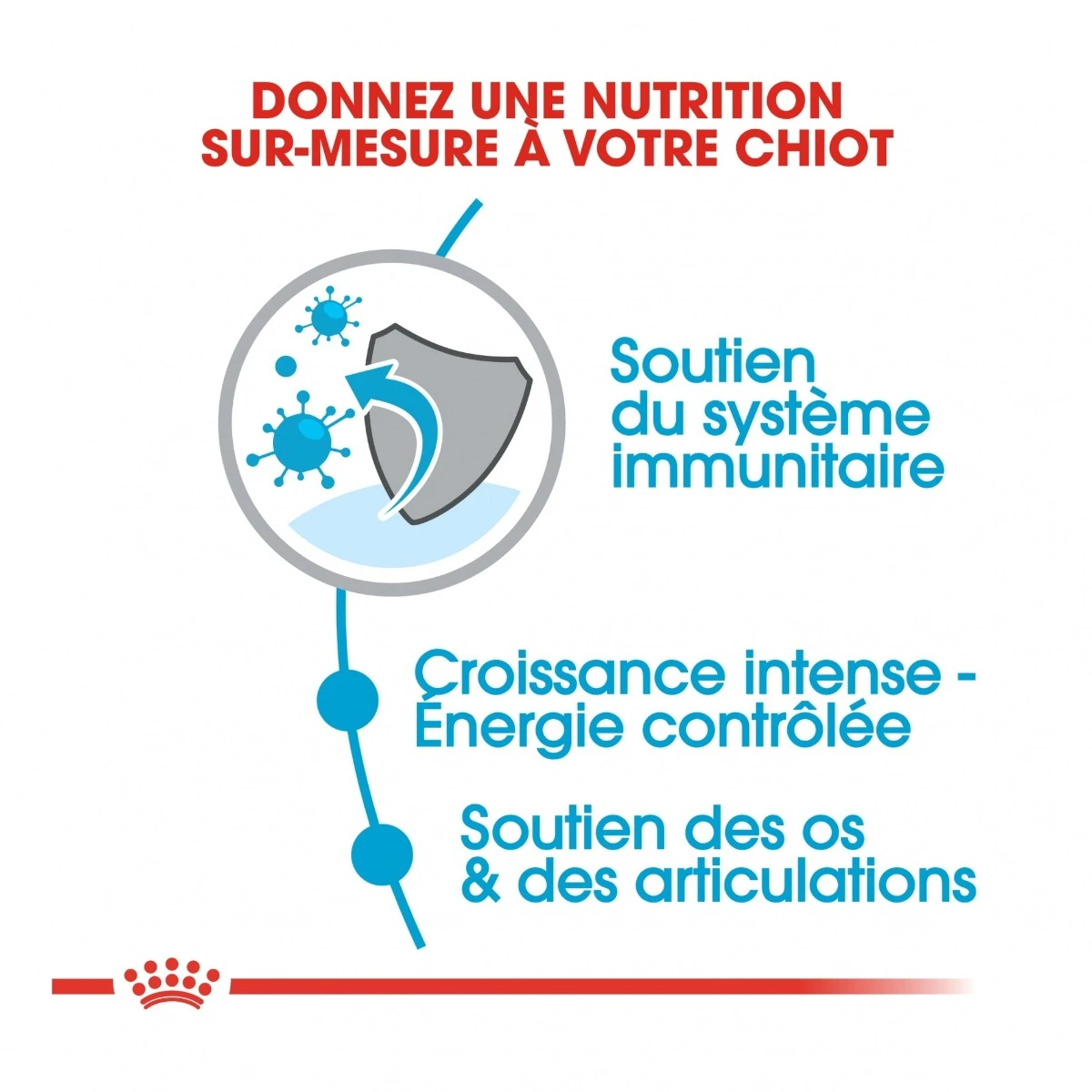 Royal Canin Giant Puppy Pour Chien - 15kg – Image 4