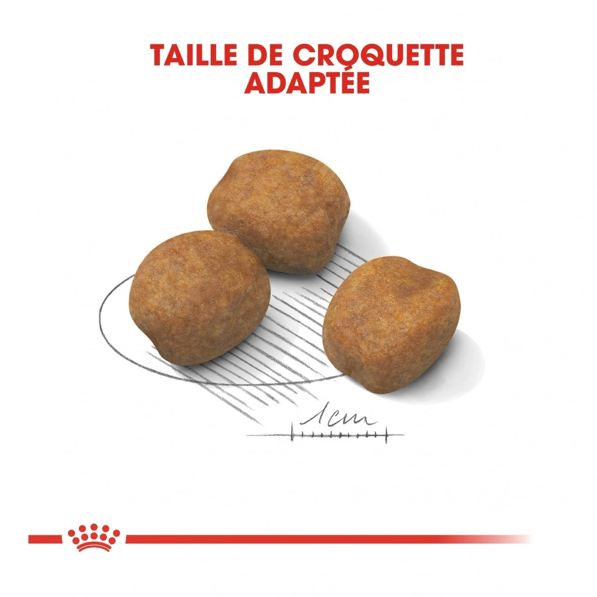 Royal Canin Giant Puppy Pour Chien - 15kg – Image 5