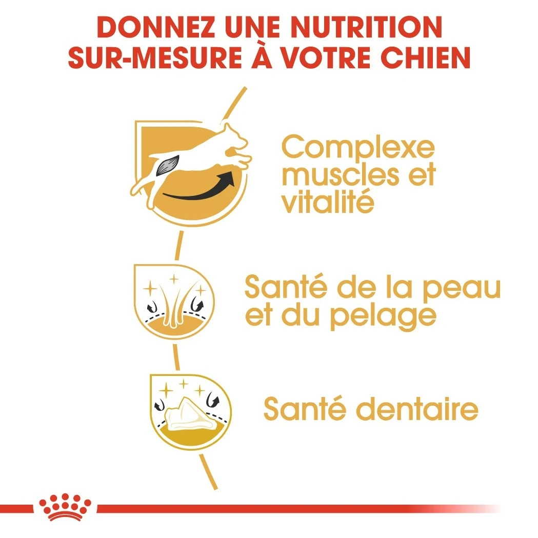 Royal Canin Jack Russell Adult Pour Chien 7,5kg – Image 4