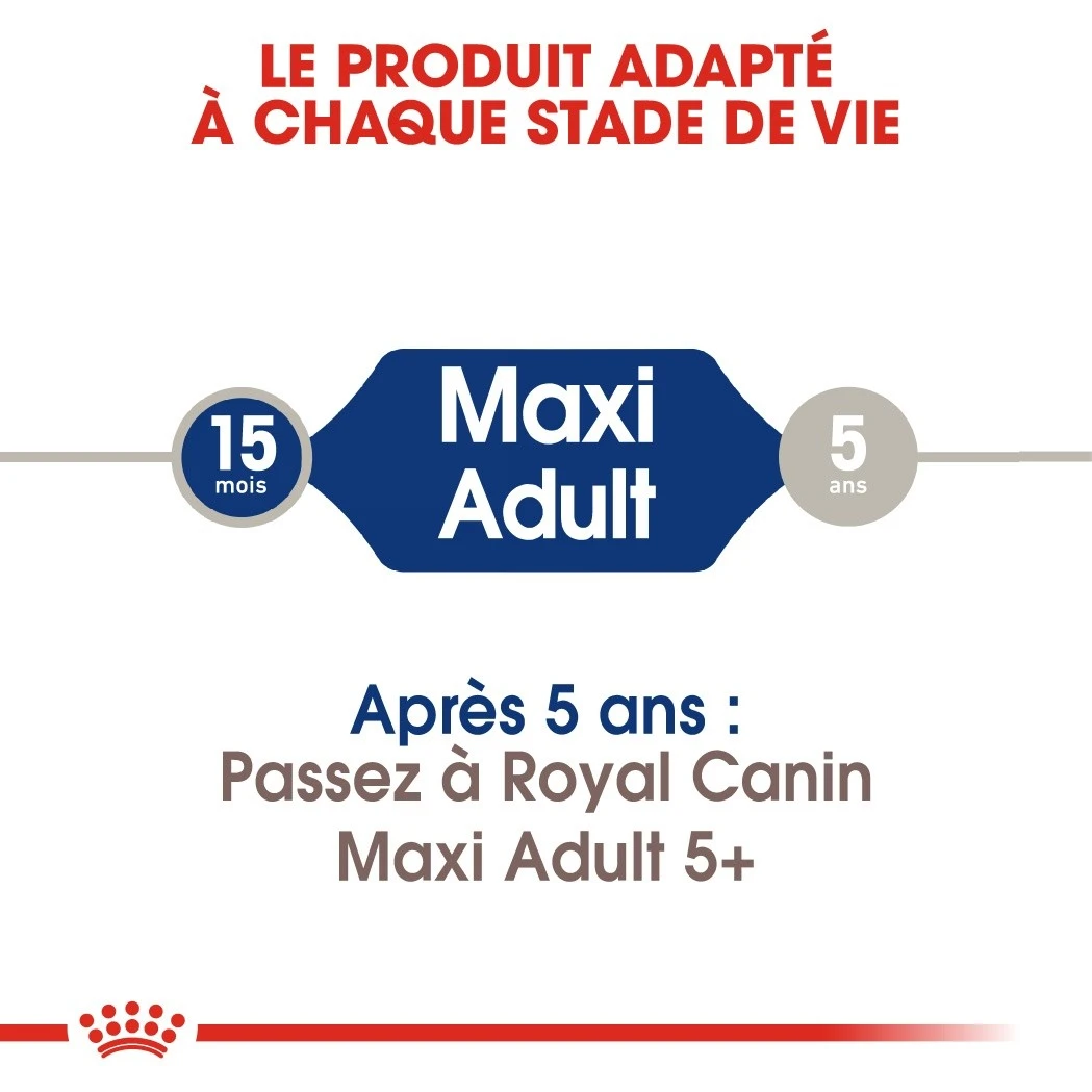 Royal Canin Maxi Adult Pour Chien 15kg – Image 5